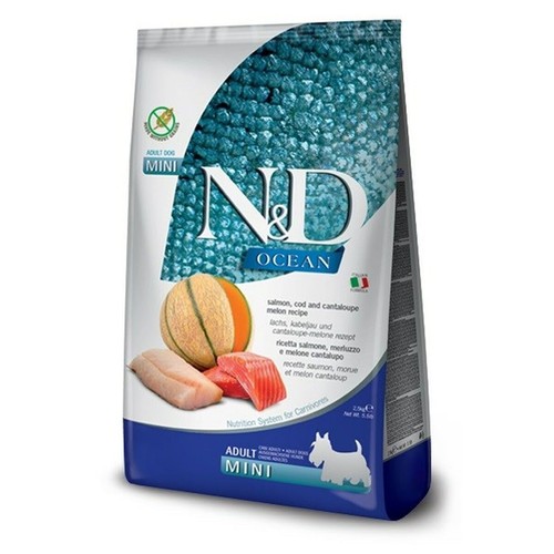 Ocean dog salmon cod and - ocean,