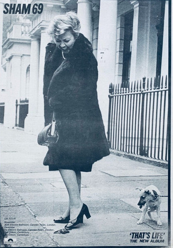 Sham poster pubblicitario - 69,