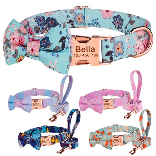 Set collare guinzaglio cane - set,